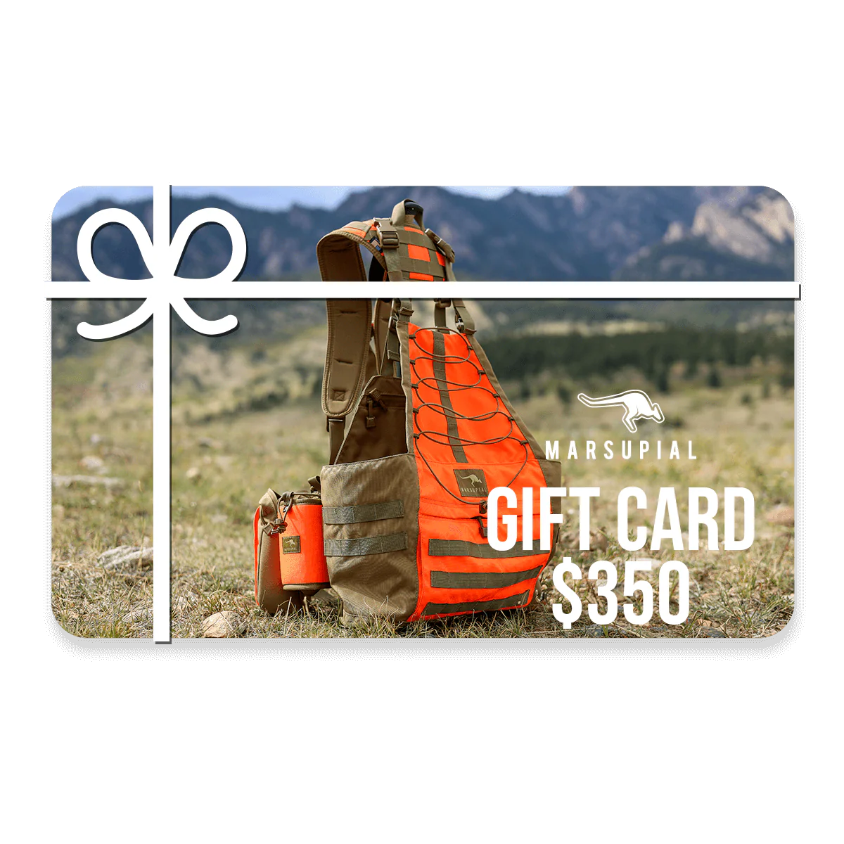 Gift Cards - Image 10