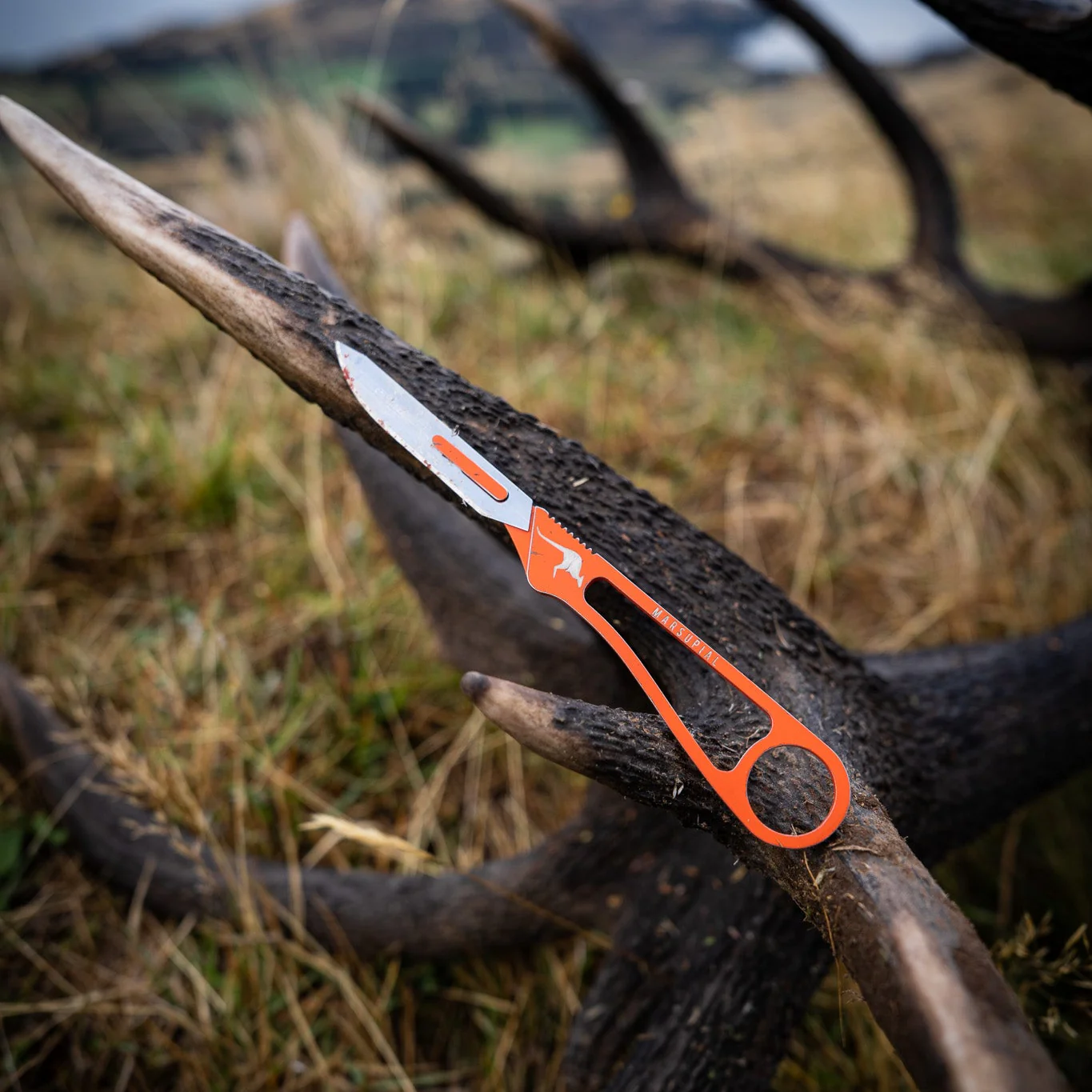 Marsupial Gear Finisher Ti Tyto Knife - Image 8